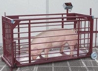Весы платформенные с подвесной клеткой для взвешивания животных, ВП ЖК цена: 32 500 руб.